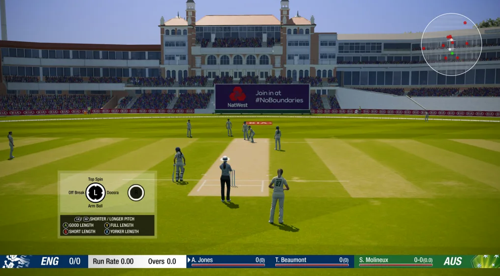 cricket 19 pc game